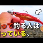 デカいキジハタを狙って釣りたい人は、このアクションを試してください。