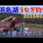 浜名湖うなぎ釣り　激浅の河川で連続ヒット？　 #浜名湖釣り #夜釣り #うなぎ釣り #新規開拓 #チャラ瀬 #激浅
