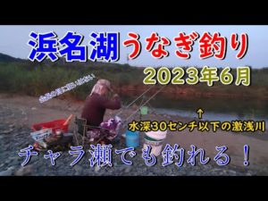浜名湖うなぎ釣り　激浅の河川で連続ヒット？　 #浜名湖釣り #夜釣り #うなぎ釣り #新規開拓 #チャラ瀬 #激浅