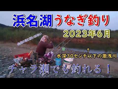 浜名湖うなぎ釣り　激浅の河川で連続ヒット？　 #浜名湖釣り #夜釣り #うなぎ釣り #新規開拓 #チャラ瀬 #激浅