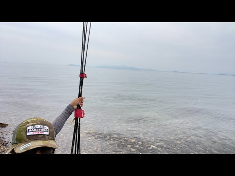 琵琶湖バス釣りライブR5-6/26