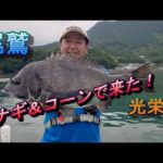 【かかり釣り】尾鷲 2023_06_24