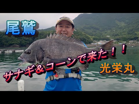 【かかり釣り】尾鷲 2023_06_24