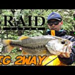 【バス釣り】ビッグ2ウェイで野池バス！