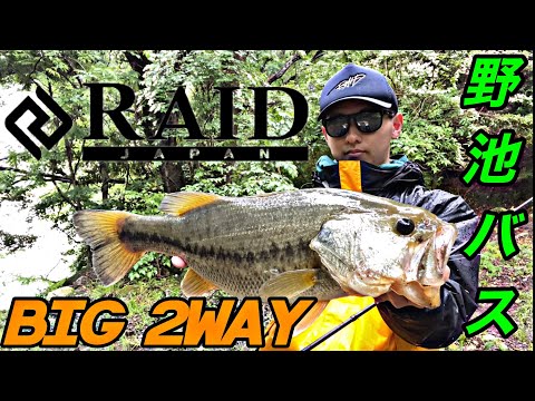 【バス釣り】ビッグ2ウェイで野池バス！