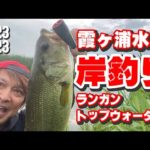 霞ヶ浦水系 岸釣りランガントップウォーター