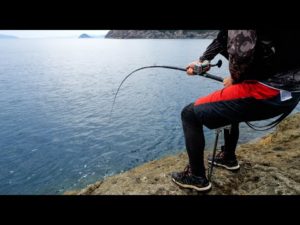 夢のデカバンを追って無人島へ。まさかの大物連発で引きずりこまれる【30時間耐久釣りキャンプ】