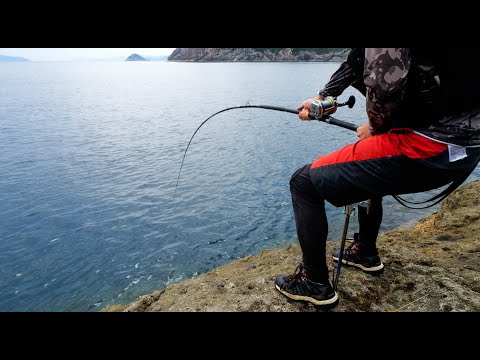 夢のデカバンを追って無人島へ。まさかの大物連発で引きずりこまれる【30時間耐久釣りキャンプ】