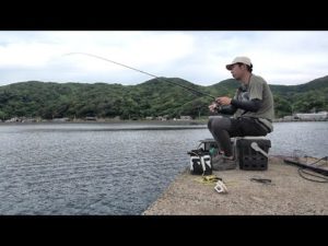 大会中に陸っぱりから自己記録更新の魚を釣り上げる！【チヌ釣り大会2023 #2】