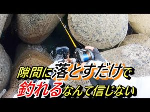 人生初がこんな簡単な釣りってありえない！バイクでテトラ帯に行ってきたら衝撃の連続でした。