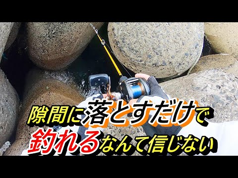 人生初がこんな簡単な釣りってありえない！バイクでテトラ帯に行ってきたら衝撃の連続でした。