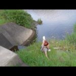 道路横の水路で事件が起きた...。