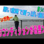 釣り動画ロマンを求めて541釣目