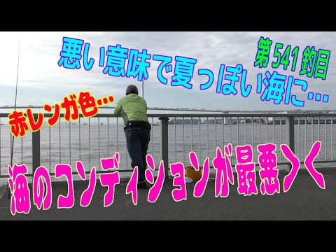 釣り動画ロマンを求めて541釣目