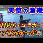 【天草の漁港で五目釣り】やってみゅ～かい!!さんとコラボ釣行。色々な釣り方で五目釣りをやってみた！
