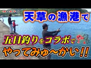 【天草の漁港で五目釣り】やってみゅ～かい!!さんとコラボ釣行。色々な釣り方で五目釣りをやってみた！
