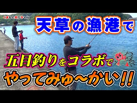 【天草の漁港で五目釣り】やってみゅ～かい!!さんとコラボ釣行。色々な釣り方で五目釣りをやってみた！