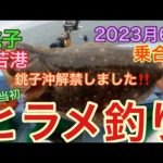 犬若港出船‼️ヒラメ釣り　乗合船