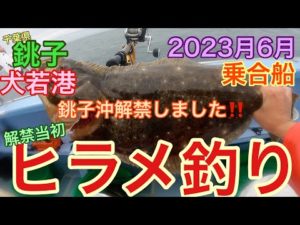 犬若港出船‼️ヒラメ釣り 乗合船