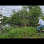 極小の沼で釣りしてみたら、まさかの五目釣り達成！？