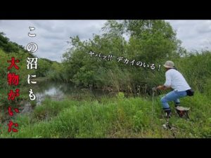 極小の沼で釣りしてみたら、まさかの五目釣り達成！？