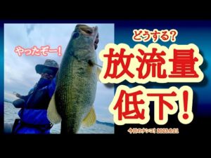 【今日のナンコ！2023.6.21】どうする？放流量低下！【琵琶湖バス釣り】
