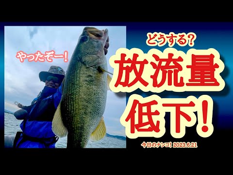 【今日のナンコ!2023.6.21】どうする?放流量低下!【琵琶湖バス釣り】