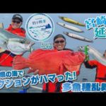 【釣り時季】アクションがハマった!宮崎県の海で多魚種乱舞‼︎
