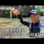 【おとな釣り倶楽部】解禁2日目の日高川で名手二人が良型の鮎と出会う