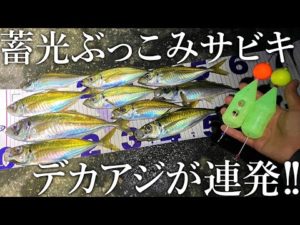 【ぶっこみサビキ新アイテム投入！】蓄光できるフロートカゴでデカアジが入れ食いになりました