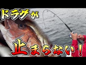 【ゴムボート釣り】ドラグが止まらない！春の陸奥湾で大物を狙う！