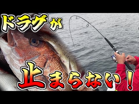 【ゴムボート釣り】ドラグが止まらない！春の陸奥湾で大物を狙う！