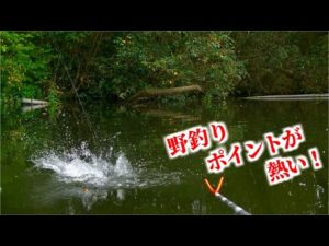 【中の淵】野釣り感満載のポイントが熱い！