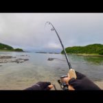 バス釣りやってる人が無双できるソルトの釣りがこれ。