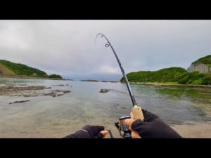 バス釣りやってる人が無双できるソルトの釣りがこれ。