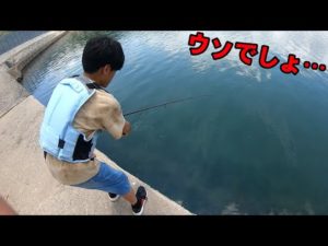 湾内の足元に潜んでいたのは子供もビビる級の大物だった!