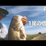 難しい時ほどバス釣りしてるなって感じた一日。