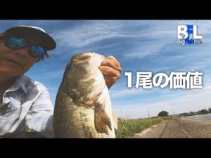 難しい時ほどバス釣りしてるなって感じた一日。