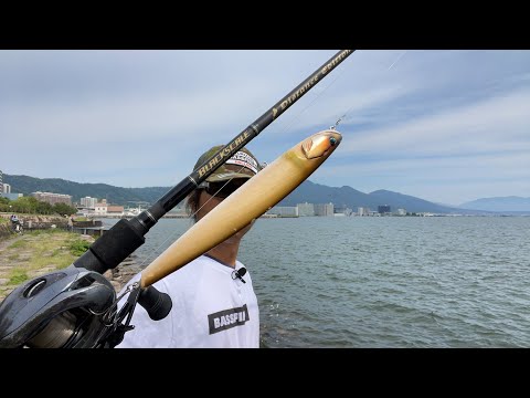 琵琶湖バス釣りライブR5-6/5