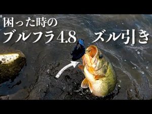 【バス釣り 秋田】困った時のブルフラ4.8ズル引きでバチコーン!