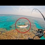 台風後のリーフで釣りすると…