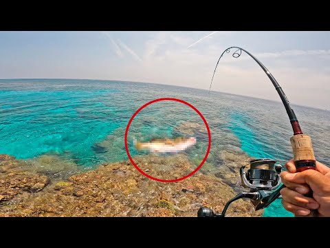 台風後のリーフで釣りすると…