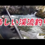 2023渓流釣り【EPISODE8】そりゃこんだけ釣れたら楽しいわさ。あるいは川虫ラプソディ