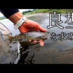 【東北渓流釣り】本流ヤマメ良型を求めて5月最後の釣り