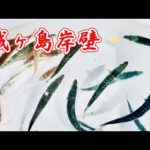 城ヶ島岸壁　水中映像あり　初心者　ファミリー　おススメ　数釣り楽しめます　く゜３彡