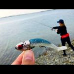 大物釣りたくて本物のVJを100回投げてみた結果…