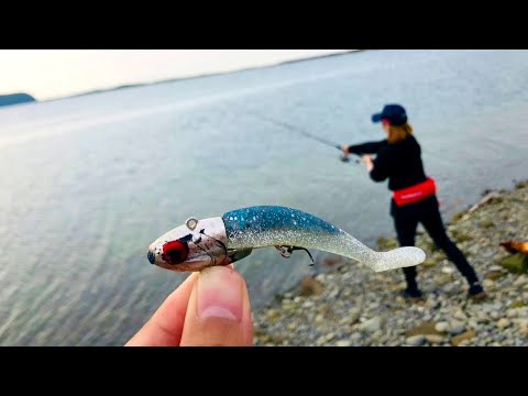 大物釣りたくて本物のVJを100回投げてみた結果…