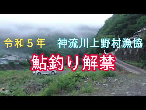 令和５年　神流川上野村漁協　鮎釣り解禁