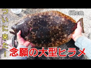 ※釣行シーン無し！投げサビキに魚が掛かって巻いてたらいきなり大物が食ってきた!釣りを始めて4年、ついに念願のヒラメが、座布団サイズか?!