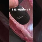 釣りビジョンに出たよ❗️ （衝撃映像）vol.570